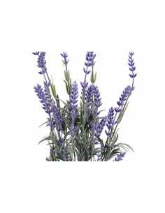 Maceta con LAVANDA 2