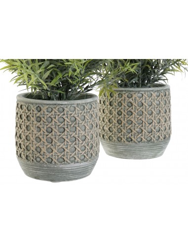 Planta RESINA1