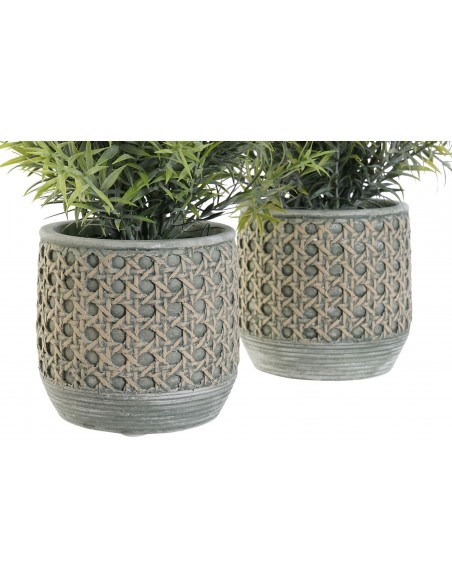 Planta RESINA1