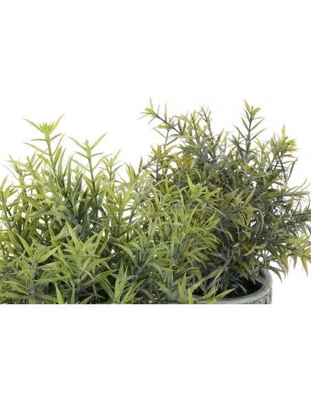 Planta RESINA1
