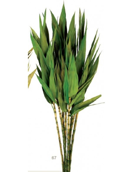 Cañas HOJAS 67