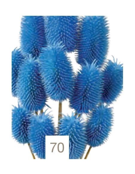 Cardo MINI 70