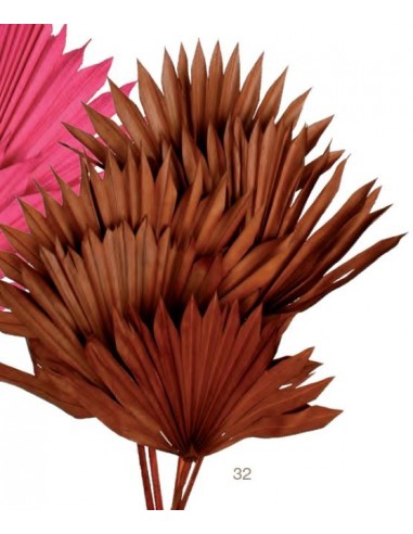 Flor PALMA 32