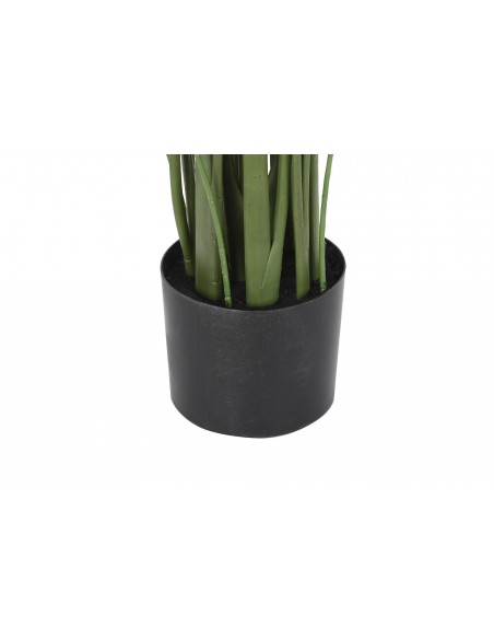 Planta AVE 180cm
