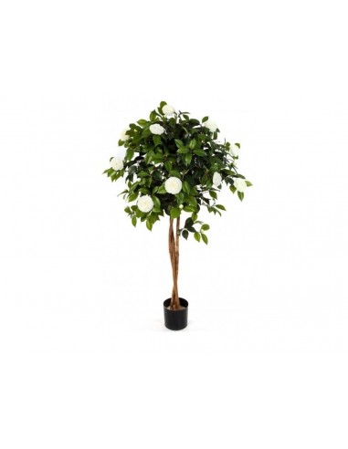 Árbol CAMELIA 120cm