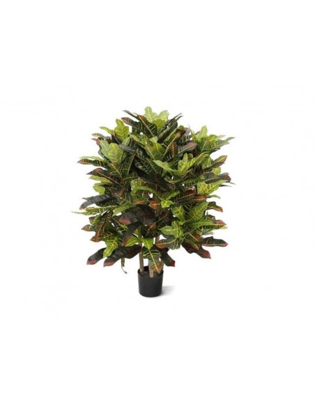 Planta CROTON 90cm