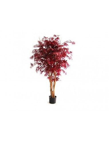 Árbol ARCE 180cm