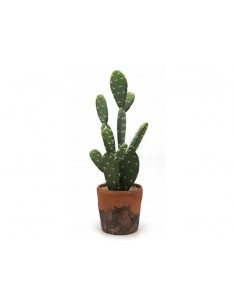 Cactus con maceta TERRACOTA 46cm