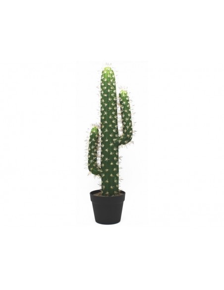 Cactus con maceta 70cm