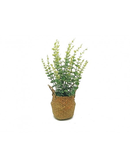 Eucalipto con cesto 46cm