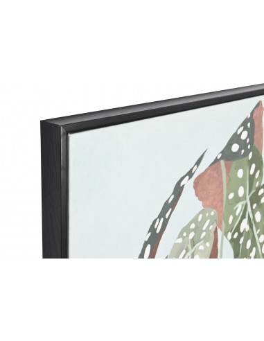 Cuadro 381 individual