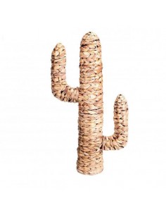 Cactus JACINTO 80cm
