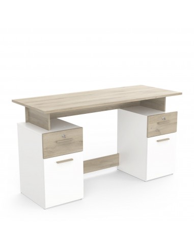 Escritorio PLATON