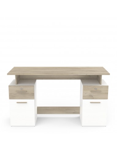 Escritorio PLATON