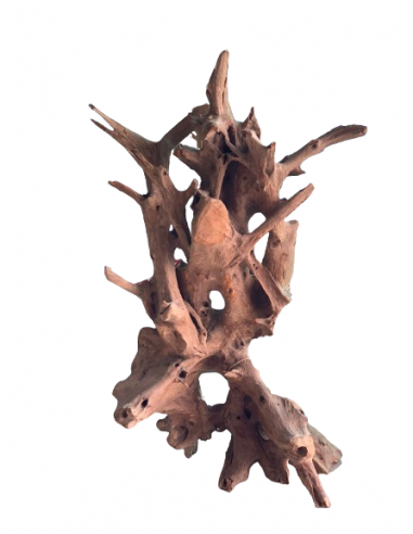 Figura ROOT 110cm