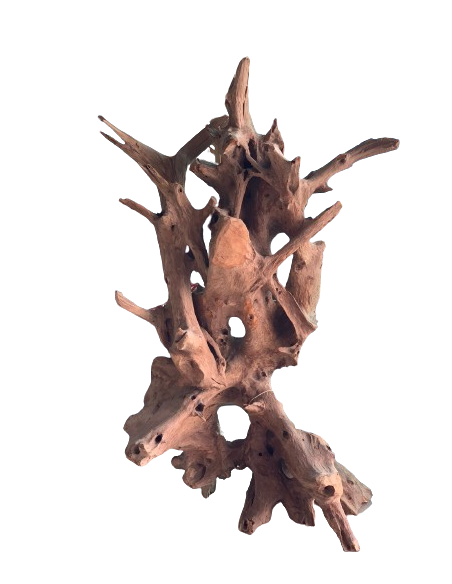 Figura ROOT 110cm
