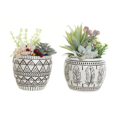 Planta CACTUS resina