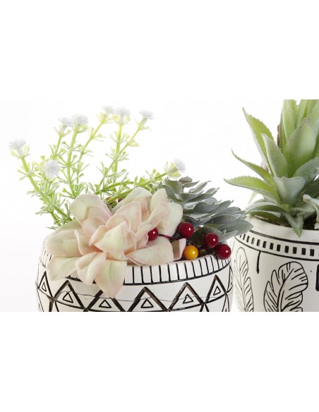 Planta CACTUS resina