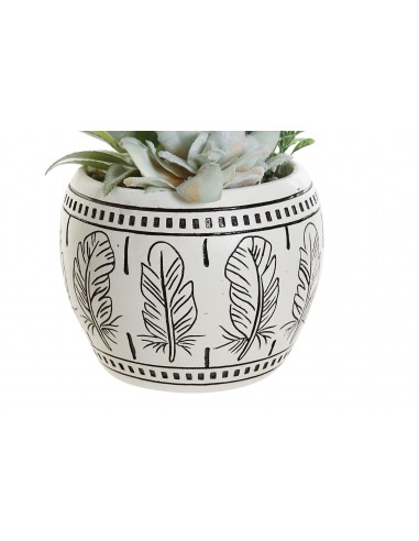 Planta CACTUS resina