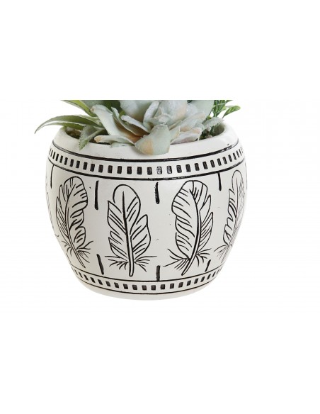 Planta CACTUS resina