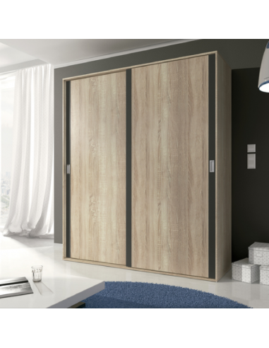 Armario 2p LARA 180cm grafito