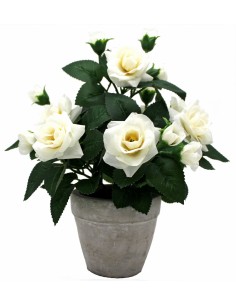 Mini ROSAL 29cm 2