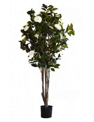 Árbol CAMELIA 170cm