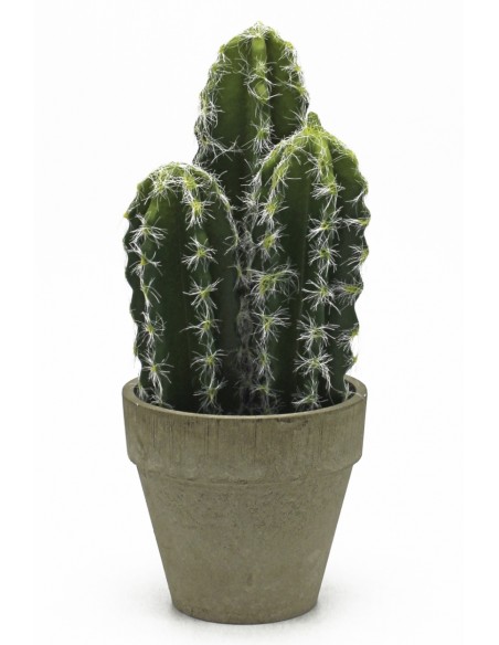 Maceta CACTUS TERRACOTA 25cm