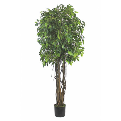 Árbol FICUS 180cm