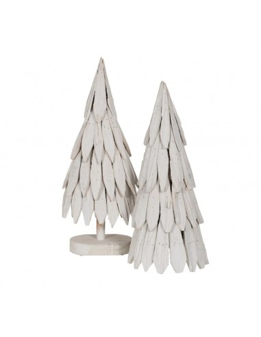 Figura árbol PAULONIA 759