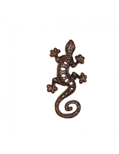 Lagarto L
