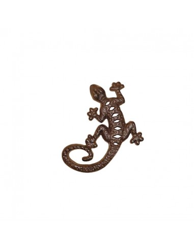 Lagarto M