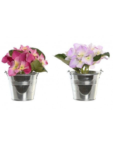 Planta HORTENSIA individual