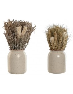 Planta FLOR SECA individual