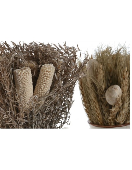 Planta FLOR SECA individual