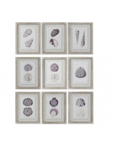 Cuadro CORAL individual