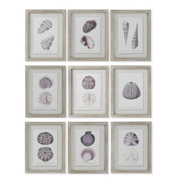 Cuadro CORAL individual