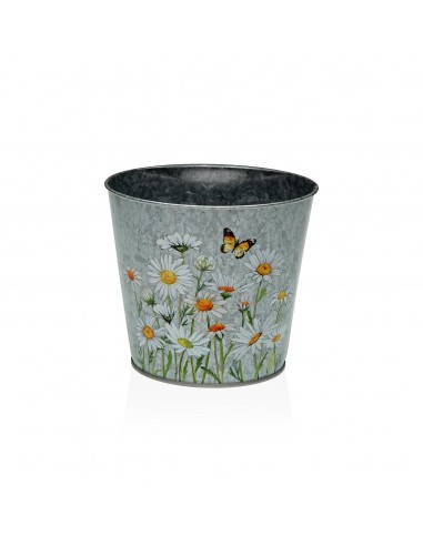 Maceta MARGARITAS S