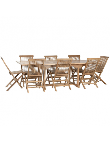 Mesa ext + 8 sillas TECA