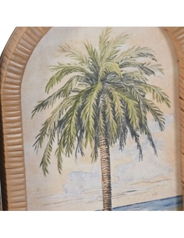 Cuadro PALMERA individual