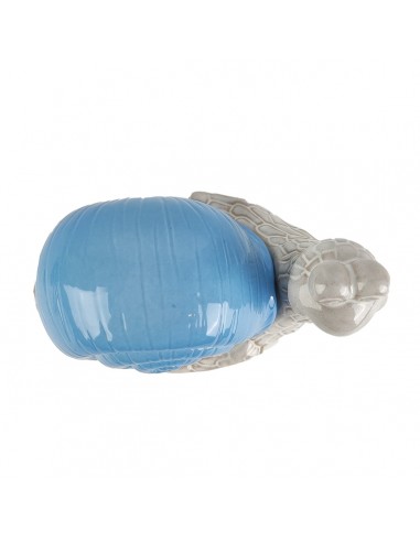Figura CARACOL 11