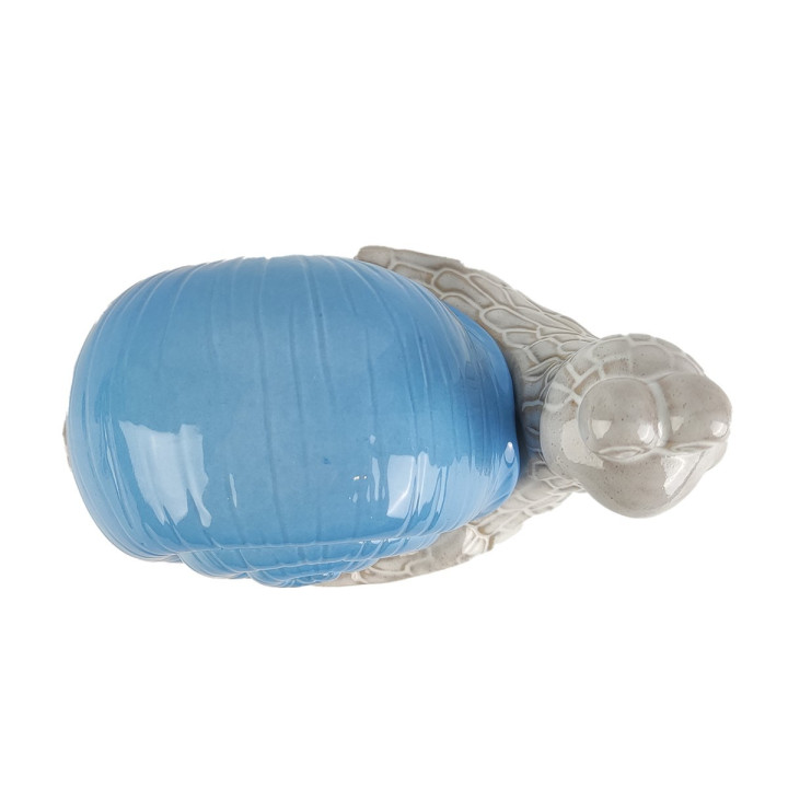 Figura CARACOL 11