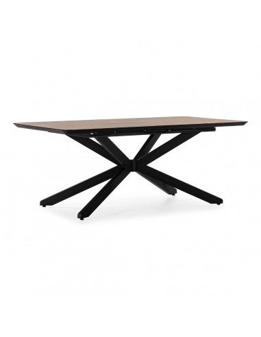 Mesa extensible ADINA 190/240