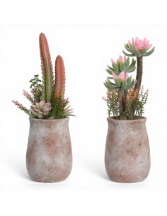 Planta ESPUMA individual