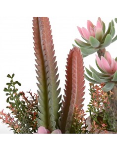 Planta ESPUMA individual 2