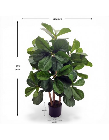 Árbol FICUS 115cm