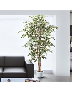 Árbol FICUS matizado 180cm