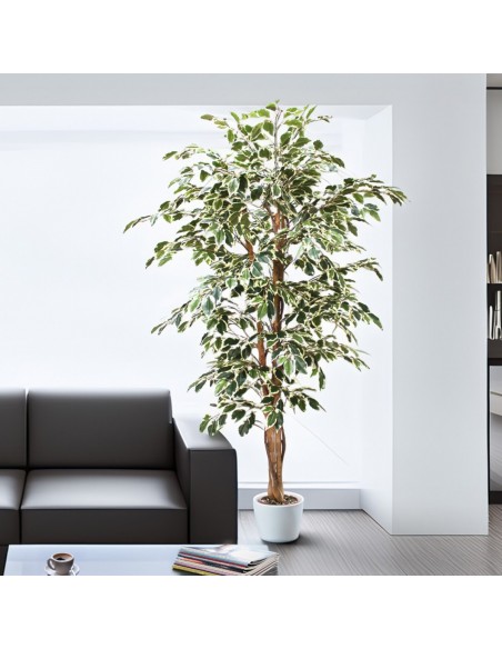 Árbol FICUS matizado 180cm