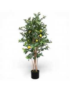 Árbol LIMONERO 180cm