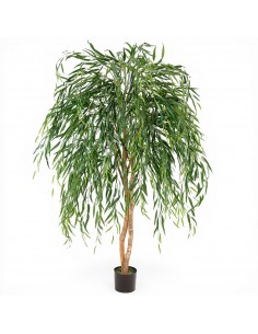 Árbol SAUCE LLORÓN 180cm